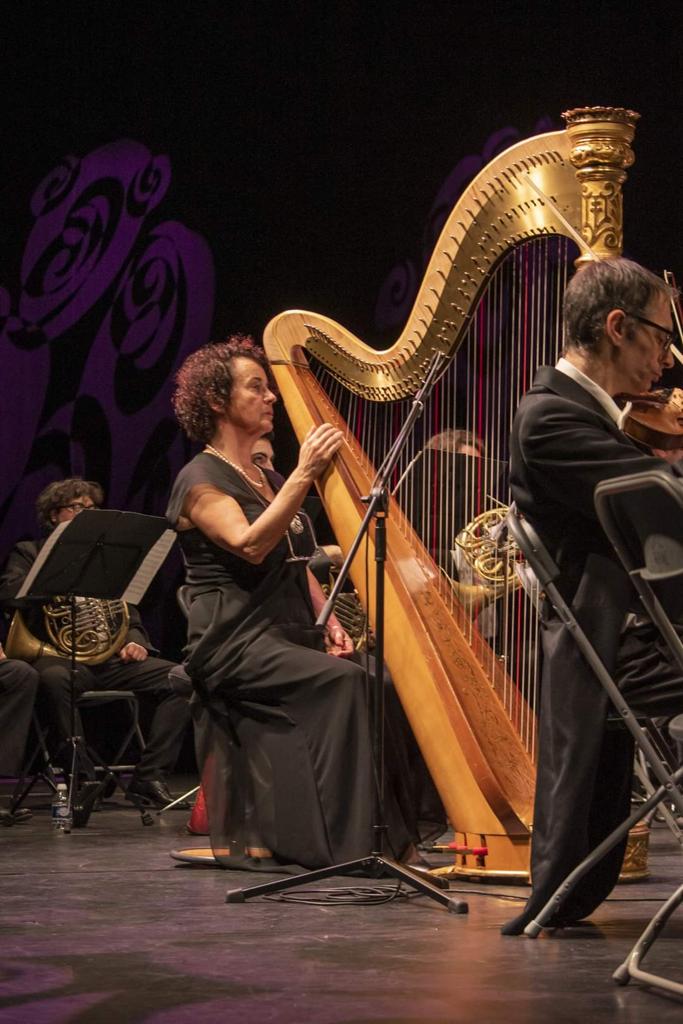 Fate come Paoletti Guitars, sponsorizzate anche voi l’Orchestra Filarmonica di Lucca Fate come Paoletti Guitars, sponsorizzate anche voi l’Orchestra Filarmonica di Lucca